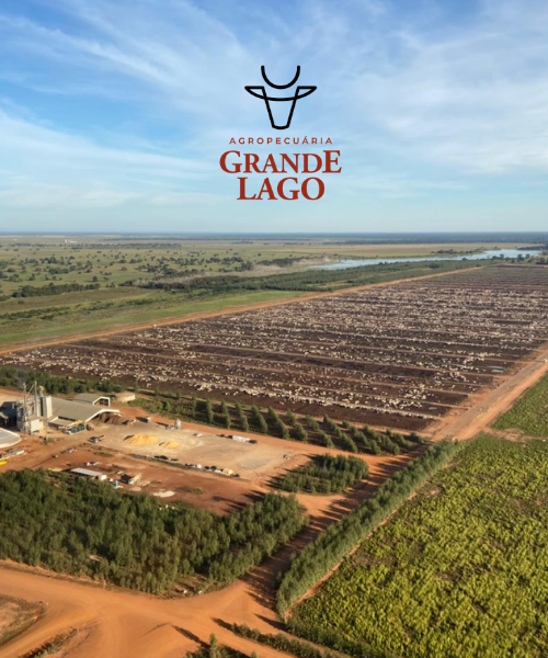 Rotativo Grande Lago 1