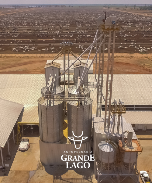 Rotativo Grande Lago 3